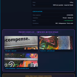Vaulty Certified — Plumeline ex MEP #024 — VLT-RAW-ARG-JAU2JH