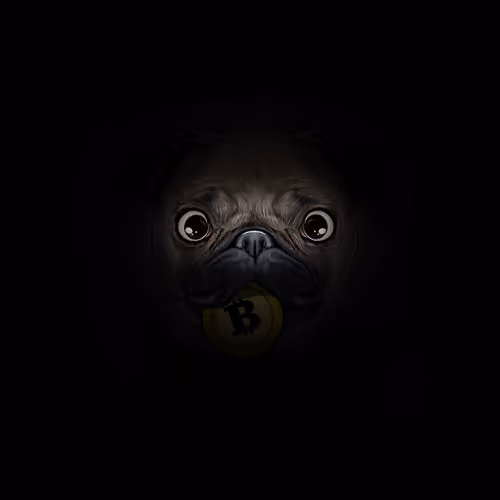 Pass #4 - PUGS ORDINARIOS