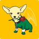my Chihuas