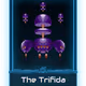 62000025