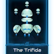 62000012