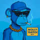 MOLLY YARTCH NFT