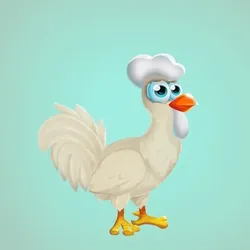 Chicken 20898