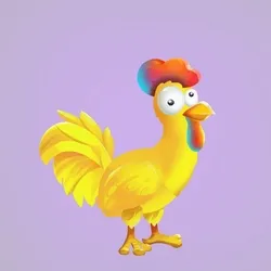 Chicken 24581