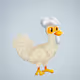 Chicken 23021