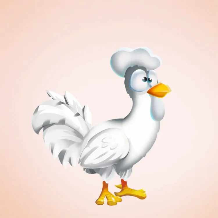Chicken 23774