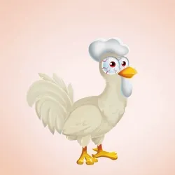 Chicken 20170