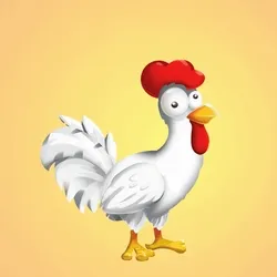 Chicken 24223
