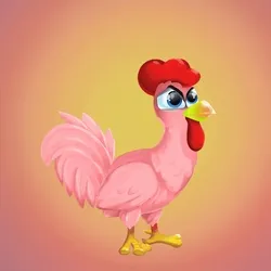 Chicken 1680