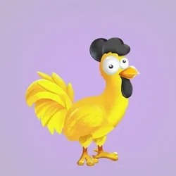 Chicken 24806