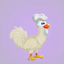 Chicken 25579