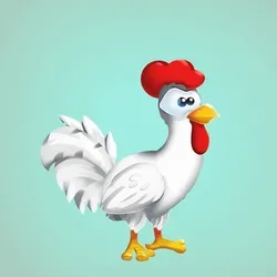 Chicken 31689