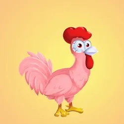 Chicken 1906