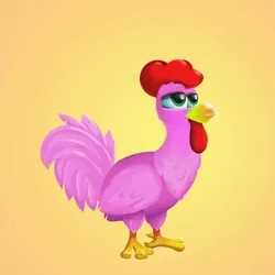 Chicken 562