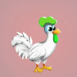 Chicken 24457