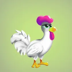 Chicken 24561