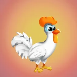 Chicken 22684