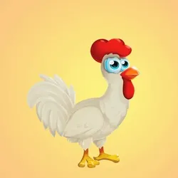 Chicken 25911