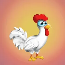 Chicken 22893