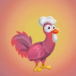 Chicken 1640