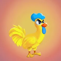 Chicken 24977