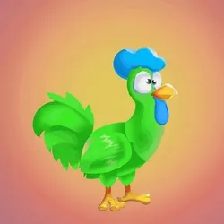 Chicken 11593