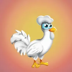 Chicken 28774