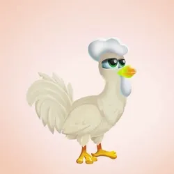 Chicken 25661