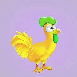 Chicken 25906