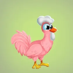 Chicken 1357