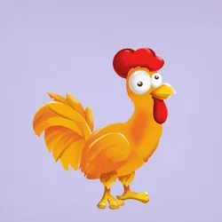 Chicken 24697