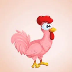 Chicken 577