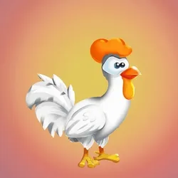 chicken sheeeeet