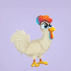 Chicken 20799