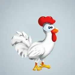 Chicken 24852