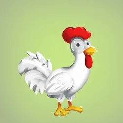 Chicken 20241