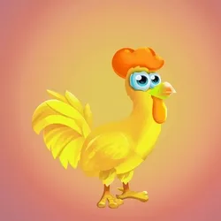 Chicken 29904