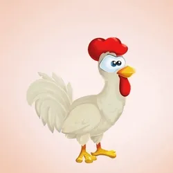 Chicken 26473