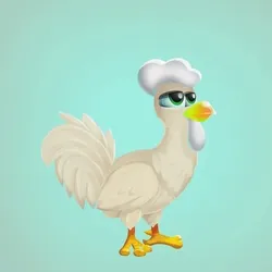 Chicken 26264