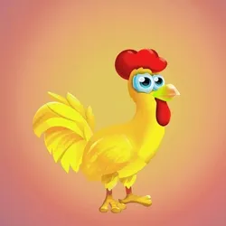 Chicken 31703