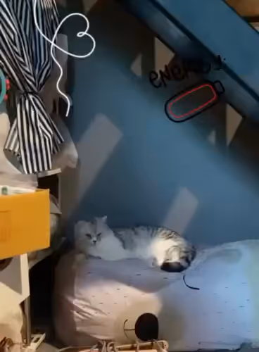 05063.lens-Collect-3135