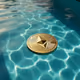 Taylor's Pool Holders' Collectibles
