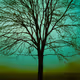 zospours.lens-Collect-3341