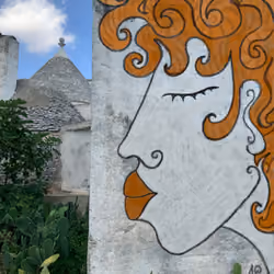 Profilo trullo