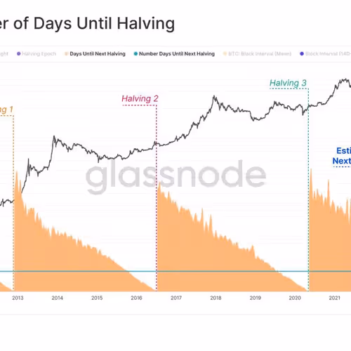 kingjunaid12.lens-Collect-2647