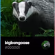 bigbangoose