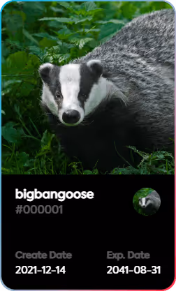 bigbangoose