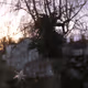 Ubirch