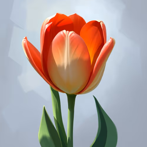 Item #24 Media