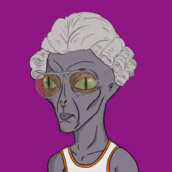 The Matic Greys #364
